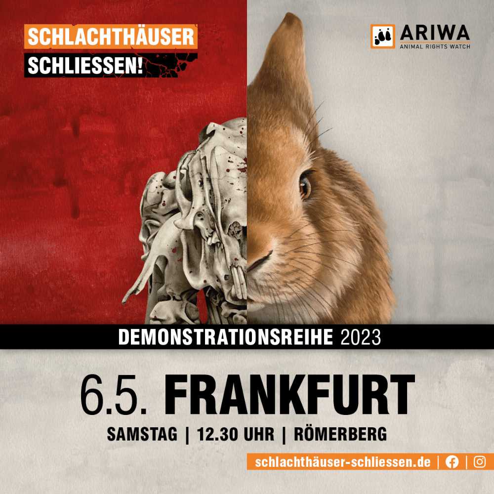 Schlachthäuser schließen Frankfurt