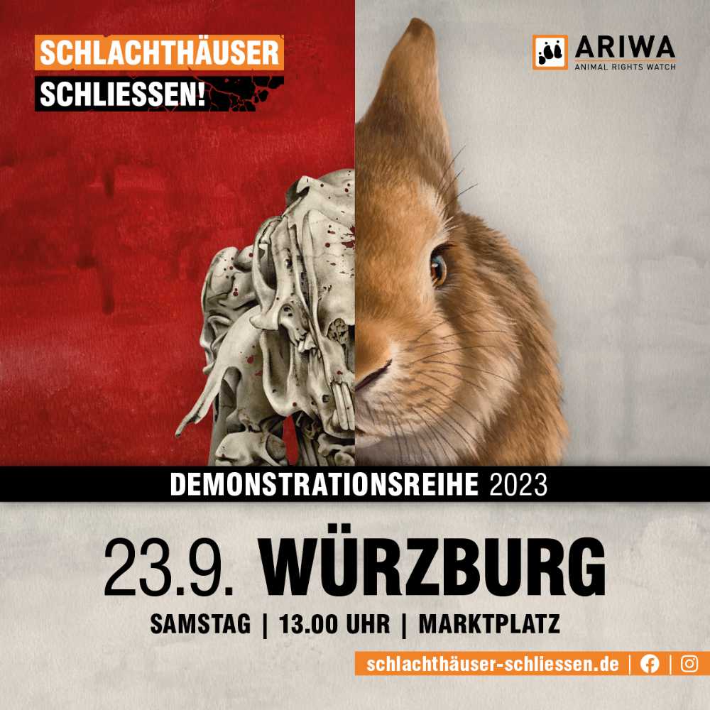 Schlachthäuser schließen Würzburg