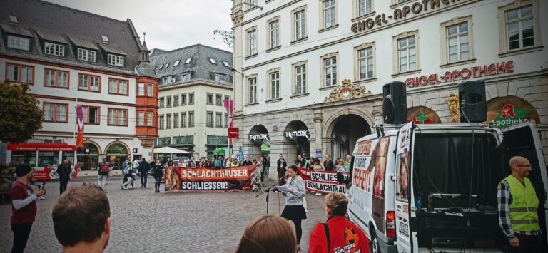 Ariwa Demo in Würzburg 2023