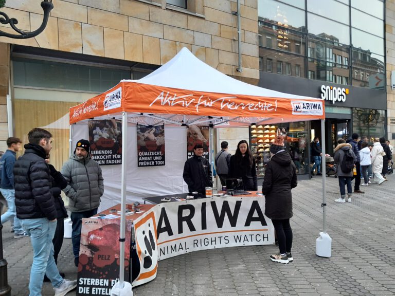 ARIWA Infostand in Nürnberg