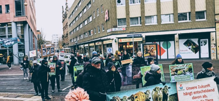 Erster Tierrechtsmarsch in Karlsruhe