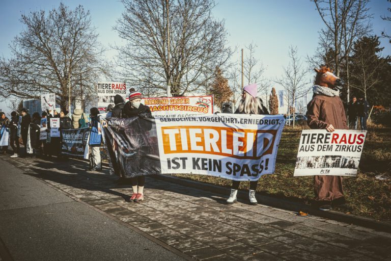 Demo vor dem Zirkus