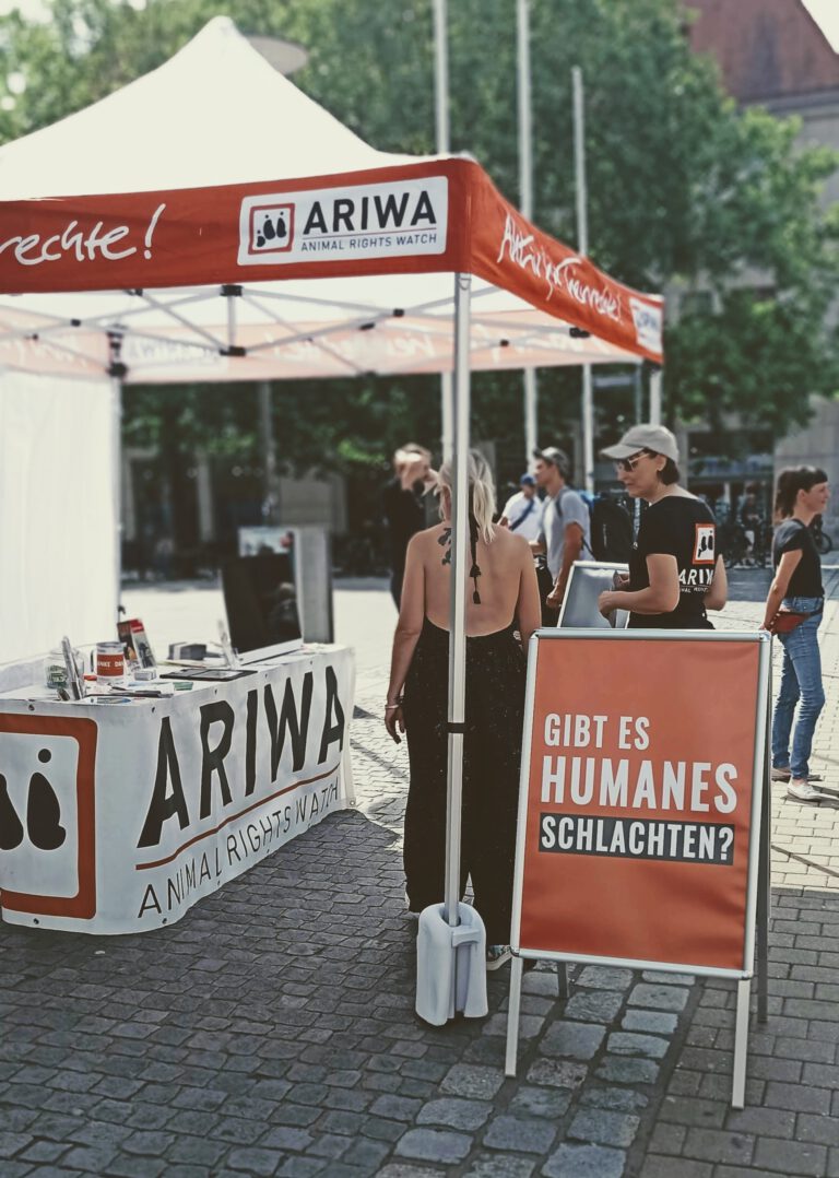 Infostand Erlangen Thema Schlachtung